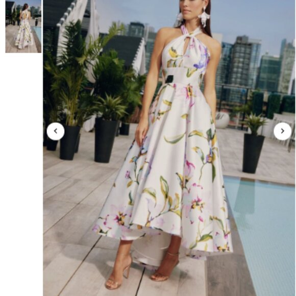 Frascara Halter Gown